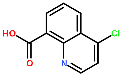 4-氯喹啉-8-羧酸