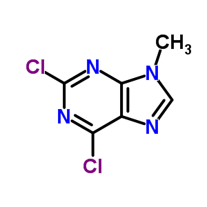 2,6-二氯-9-甲基-9H-嘌呤