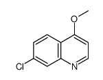 7-chloro-4-methoxyquinoline