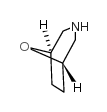 8-氧-3-氮杂二环[3.2.1]辛烷盐酸盐