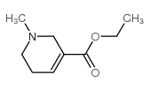 1-甲基-1,2,5,6-四氢烟酸乙酯
