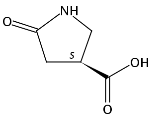 (3S)-5-氧代吡咯烷-3-甲酸