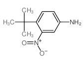 4-(1,1-二甲基乙基)-3-硝基苯胺