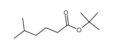 5-methyl-hexanoic acid tert-butyl ester