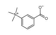 3-carboxy-tri-N-methyl-anilinium betaine