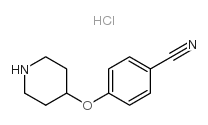 4-(哌啶-4-氧基)-苯甲腈盐酸盐