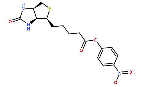 (+)-生物素4-硝基苯酯