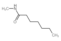 N-methylheptanamide