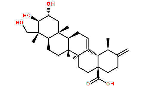 (2ALPHA，3BETA，4ALPHA)-2，3，23-三羟基乌苏-12，20(30)-二烯-28-酸标准品|对照品