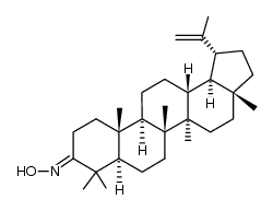 lup-20(29)-en-3-oxime