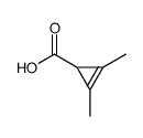 2,3-dimethylcycloprop-2-ene-1-carboxylic acid