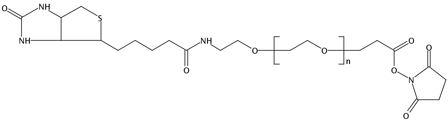 生物素12聚乙二醇丙烯酸