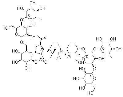3-O-b-D-葡萄糖( 1→4)-[ a -L-鼠李糖(1→2)]- a-L-阿拉伯糖 23-羟基羽扇豆20(29)-烯-28–酸- 28-O-鼠李糖(1→4)葡萄糖(1→6)葡萄糖苷