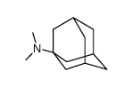 N,N-二甲基金刚烷胺