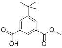 3-(甲氧羰基)-5-(2-甲基-2-丙基)苯甲酸
