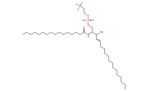 磷脂分子结构示意图图片