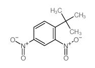 1-叔丁基-2,4-二硝基苯