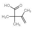2,2,3-trimethyl-3-butenoic acid()