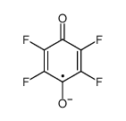tetrafluoro-p-benzosemiquinone radical anion