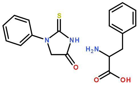 苯基硫代乙内酰脲-苯丙氨酸