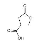 5-oxo-tetrahydrofuran-3-carboxylic acid
