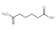 6-methylhept-6-enoic acid
