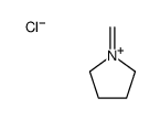 1-methylidenepyrrolidin-1-ium,chloride