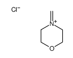 4-methylidenemorpholin-4-ium,chloride