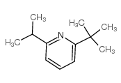 3-叔丁基-6-异丙基吡啶