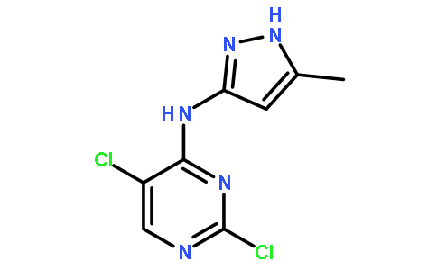 2,5-二氯-N-(5-甲基-1H-吡唑-3-基)-4-氨基嘧啶