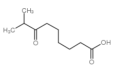 8-METHYL-7-OXONONANOIC ACID