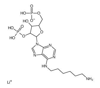 N6-(6-氨基己基)腺苷 2′,5′-二磷酸 锂盐