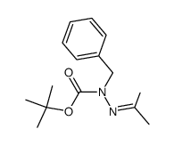 tert-butyl 1-benzyl-2-(propan-2-ylidene)hydrazine-1-carboxylate