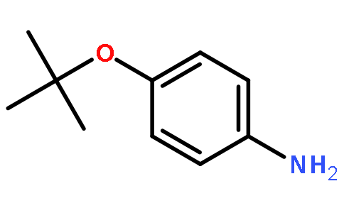 4-叔丁氧基苯胺