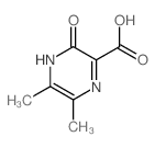 5,6-二甲基-3-氧代-3,4-二氢-吡嗪-2-羧酸