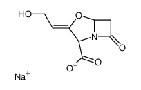 sodium [2R-(2alpha,3Z,5alpha)]-3-(2-hydroxyethylidene)-7-oxo-4-oxa-1-azabicyclo[3.2.0]heptane-2-carboxylate