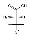Penicillamine thiyl radical