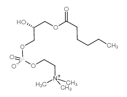 L-α-Lysophosphatidylcholine