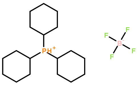 三环己基鏻四氟硼酸盐 419063