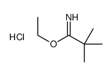 ethyl 2,2-dimethylpropanimidate,hydrochloride