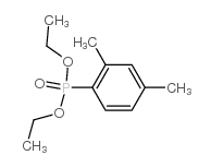 (2,4-二甲基苯基)-磷酸二乙酯