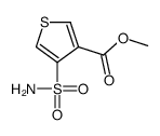 methyl 4-sulfamoylthiophene-3-carboxylate