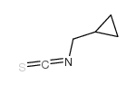 环丙基甲基异硫氰酸酯