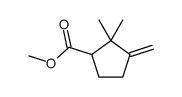 methyl 2,2-dimethyl-3-methylidenecyclopentane-1-carboxylate