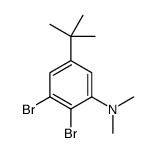 2,3-dibromo-5-tert-butyl-N,N-dimethylaniline