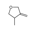 3-methyl-4-methylideneoxolane