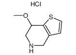 7-methoxy-4,5,6,7-tetrahydro-thieno(3,2-c)pyridine hydrochloride