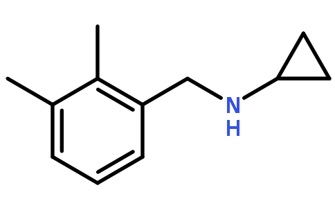 N-(2,3-Dimethylbenzyl)cyclopropanamine