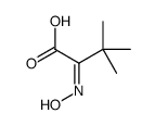 2-hydroxyimino-3,3-dimethylbutanoic acid