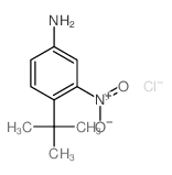 4-tert-butyl-3-nitroaniline,hydrochloride